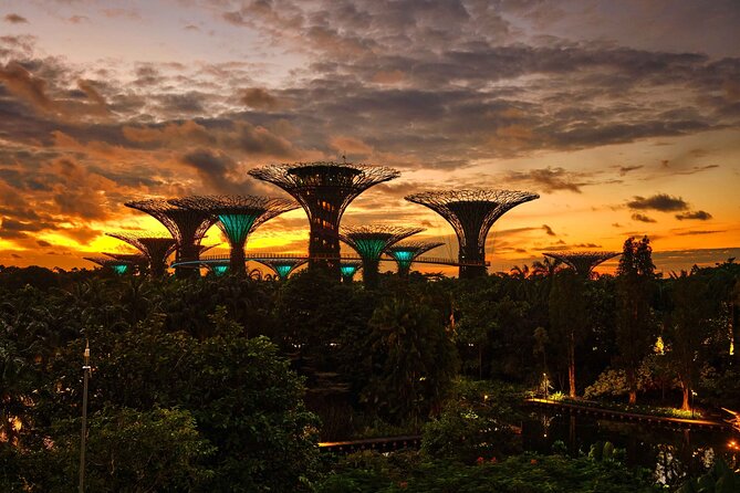 Night out with 6 Food Tastings, Spectra & Garden Rhapsody Shows - Spectra at Marina Bay Sands