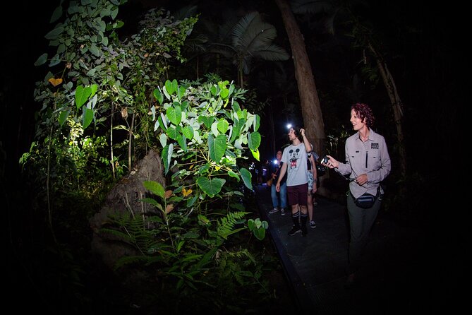 Night Walk in Cairns Botanic Gardens - Let's Go Buggin - The subjects you may find