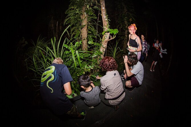 Night Walk in Cairns Botanic Gardens - Let's Go Buggin - Is the photography advice worth the $57.38 price?