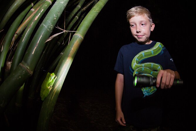 Night Walk in Cairns Botanic Gardens - Let's Go Buggin - Who should book this Cairns night walk?