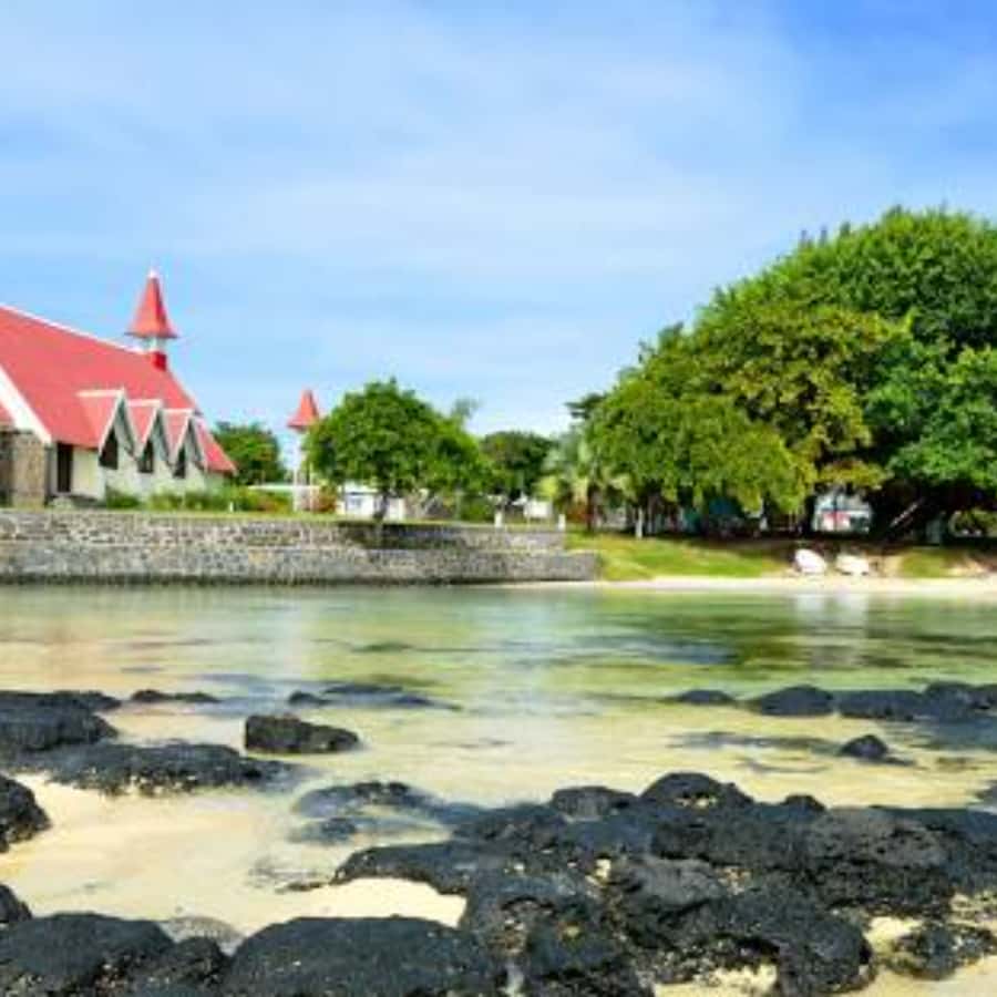 North Day Tour, Botanical Garden, Sugar Museum, Rum Tasting - How the guide shapes the day