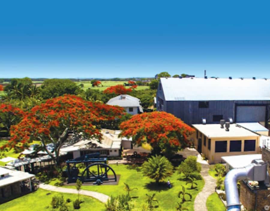 North Day Tour, Botanical Garden, Sugar Museum, Rum Tasting - Starting at the Sir Seewoosagur Ramgoolam Botanical Garden
