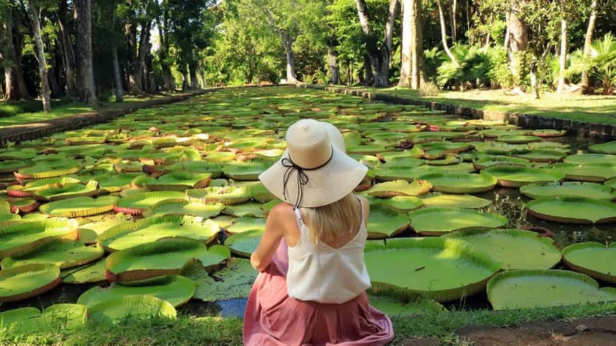North Tour: Port Louis, Caudan, Citadelle, Botanical Garden - Five useful things to know before you go