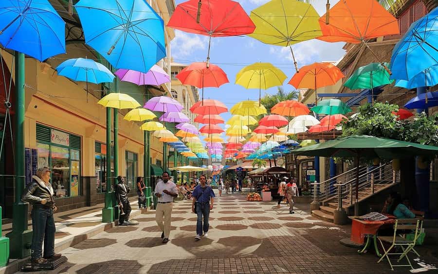 North Tour: Port Louis, Caudan, Citadelle, Botanical Garden - A full day that mixes city life and open-air sights