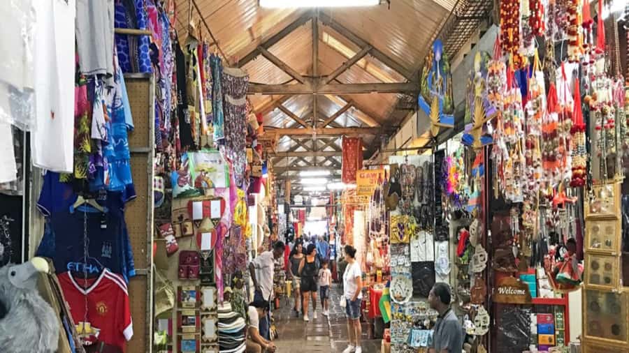 North Tour: Port Louis, Caudan, Citadelle, Botanical Garden - What the private car changes