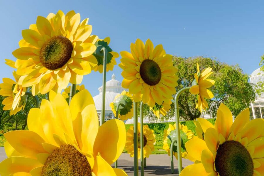 NYC: New York Botanical Garden Pass - Key points to know before you go