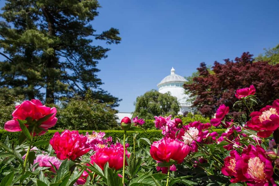 NYC: New York Botanical Garden Pass - Food, parking, and the real cost
