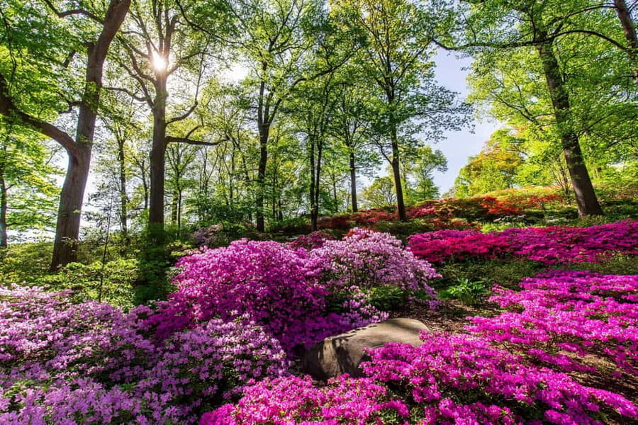 NYC: New York Botanical Garden Pass - The Haupt Conservatory and the Mertz Library Building