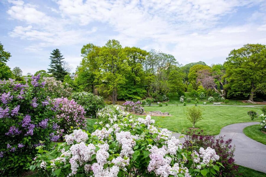 NYC: New York Botanical Garden Pass - Van Gogh’s Flowers from May 24 to October 26, 2025