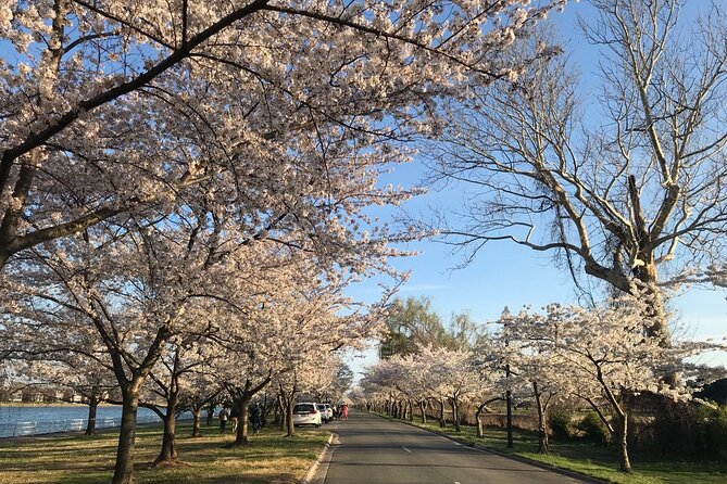 NYC to D.C Day Trip: Thomas Jefferson Memorial to Cherry Blossoms - Timing, group size, and the long return