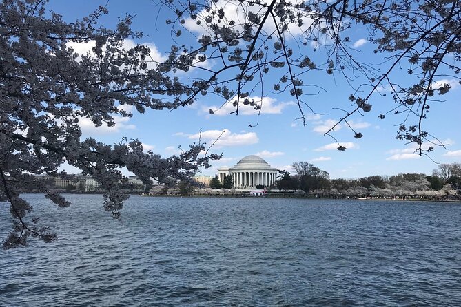 NYC to D.C Day Trip: Thomas Jefferson Memorial to Cherry Blossoms - The Thomas Jefferson Memorial and Tidal Basin