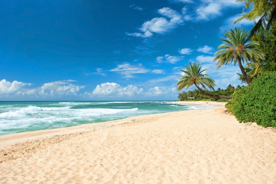 Oahu: Guided Tour of North Shore and Waimea Botanical Garden - Key points to know before booking