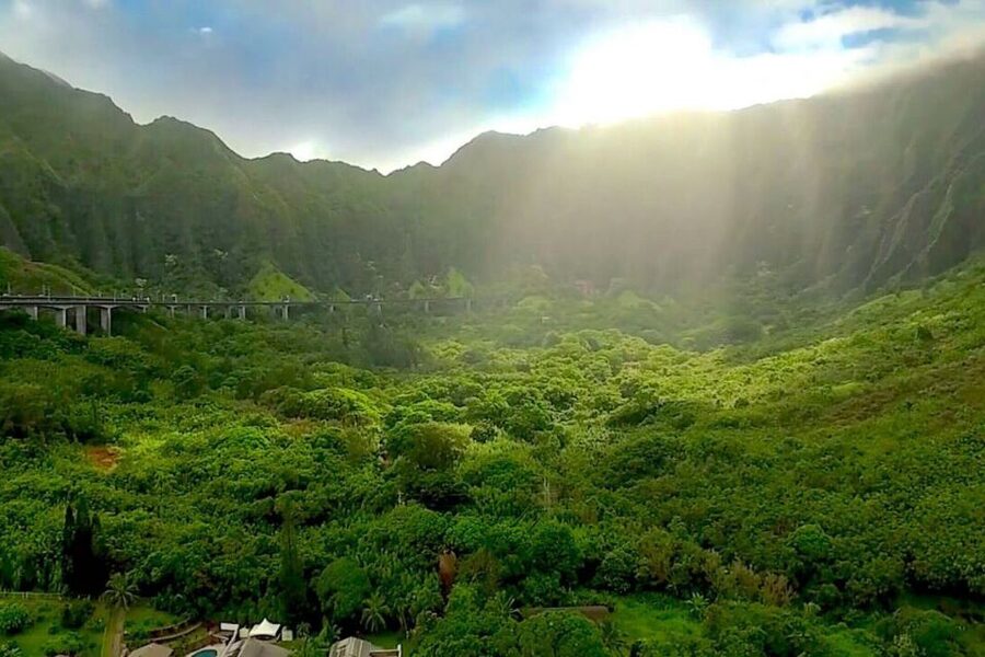 Oahu: Guided Tour of North Shore and Waimea Botanical Garden - One long day from Waikiki to the North Shore