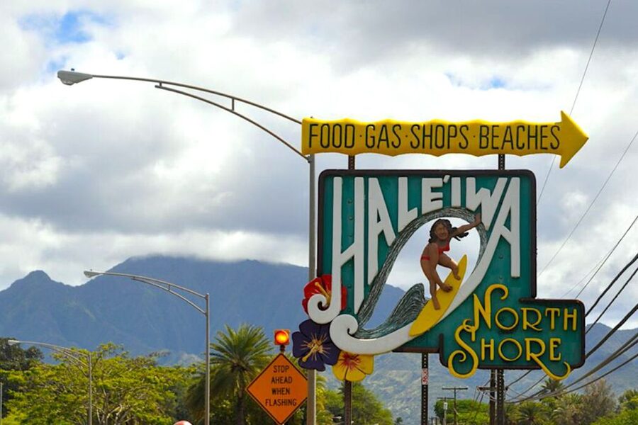 Oahu: Guided Tour of North Shore and Waimea Botanical Garden - Shrimp, fruit, shaved ice, and Dole Whip