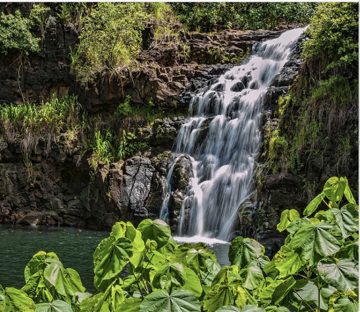 Oahu Hidden Gems & Waimea Botanical Garden/Waterfall tour - What This Oahu Tour Is Really Like