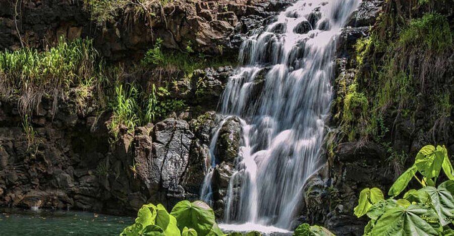 Oahu Hidden Gems & Waimea Botanical Garden/Waterfall tour - Starting From Waikiki and Crossing the Island