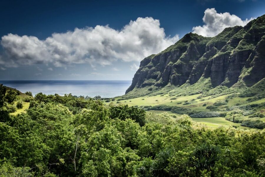 Oahu Hidden Gems & Waimea Botanical Garden/Waterfall tour - Pali Lookout: The Day’s Strongest Short Stop