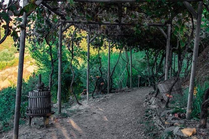 Off-Road Safari, Traditional Villages & Botanic Garden Walk - What is included, and what costs extra