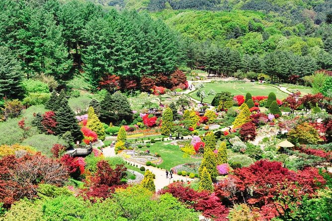 One Day Private Tour-Nami, Petite and Garden of Morning Calm - Why this private Seoul day trip works