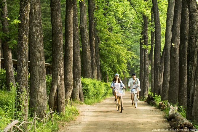 One Day Private Tour-Nami, Petite and Garden of Morning Calm - Garden of Morning Calm: 5,000 plant species in 90 minutes