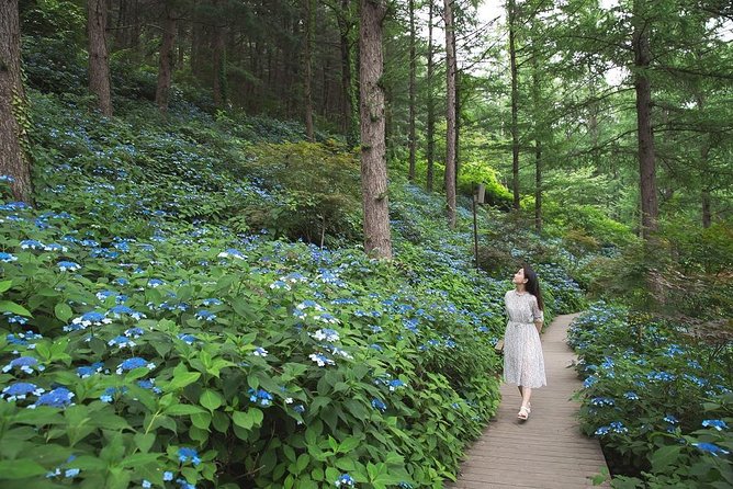 One Day Private Tour-Nami, Petite and Garden of Morning Calm - The guide can make the sightseeing more useful
