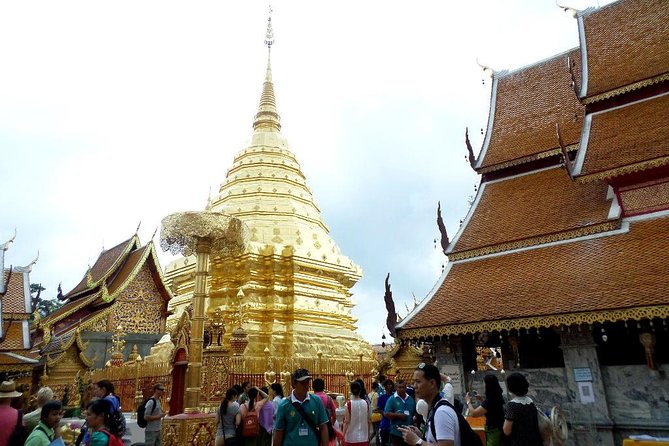 One Day Tour Doi Suthep Temple, Palad Temple, Orchid Farm, Longneck hill tribe village (Private tour) - Why this private Chiang Mai tour works well