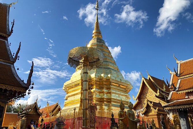 One Day Tour Doi Suthep Temple, Palad Temple, Orchid Farm, Longneck hill tribe village (Private tour) - Lunch includes northern Thailand’s signature Khao Soi