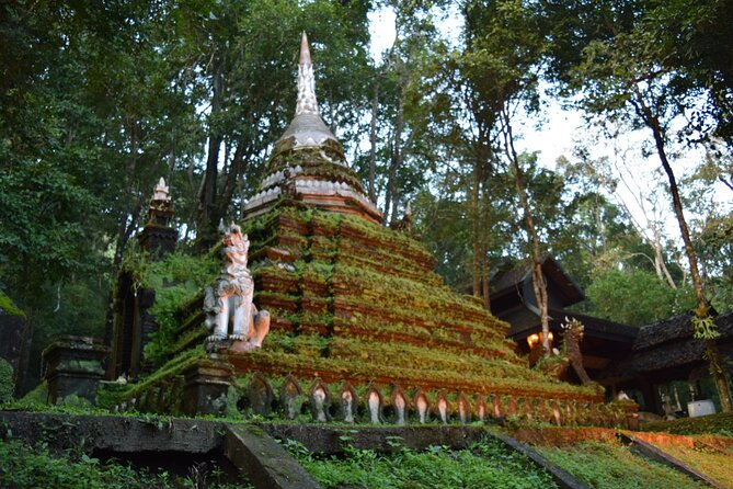 One Day Tour Doi Suthep Temple, Palad Temple, Orchid Farm, Longneck hill tribe village (Private tour) - Timing, pickup, and what to wear