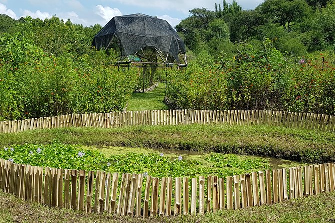 Openwork butterfly garden - Key points about Totláli’s butterfly garden