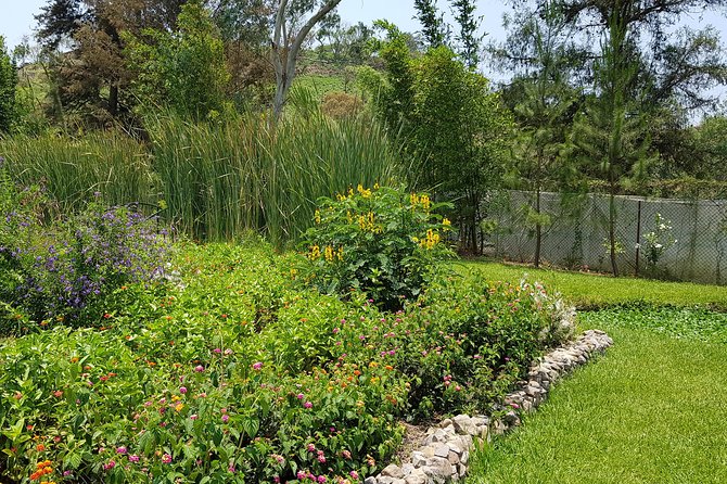 Openwork butterfly garden - What makes the Totláli visit different