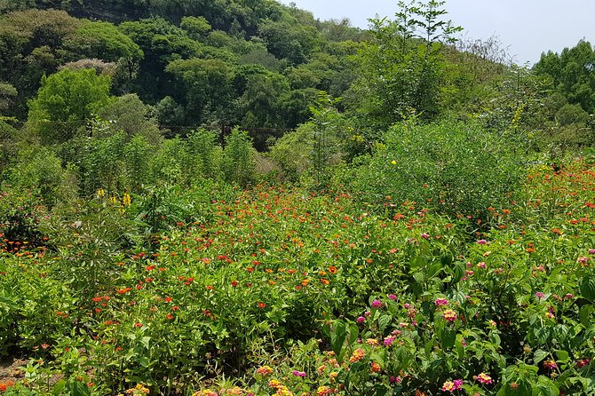Openwork butterfly garden - Private access changes the pace