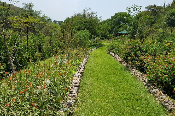 Openwork butterfly garden - Planning the route to Zumpahuacán