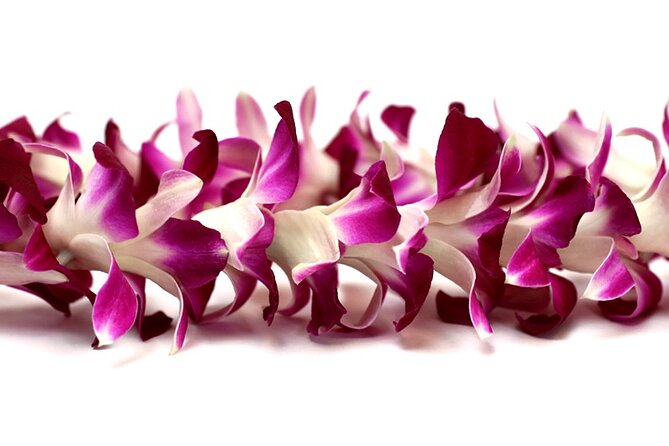 Orchid Airport Lei Greeting (Maui, Kahului Airport, OGG) - What the Kahului Airport welcome actually includes
