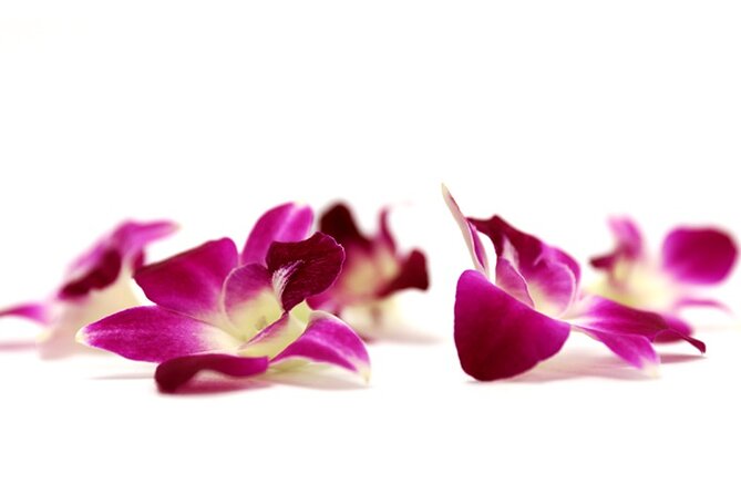 Orchid Airport Lei Greeting (Maui, Kahului Airport, OGG) - Why the orchid lei makes a good first impression