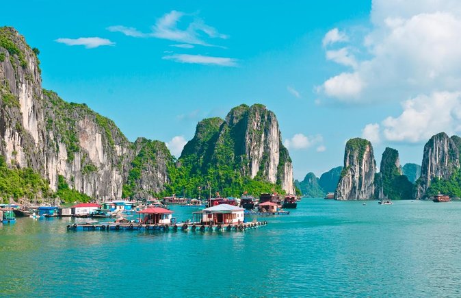 Orchid Cruise Halong Bay 3Days 2Night on 5 Star Cruise - Key points before you book