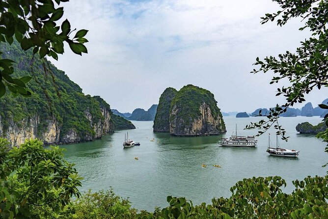 Orchid Cruises 2 Days/1Night 5 Star All included - Kayaking, swimming, and time on the water