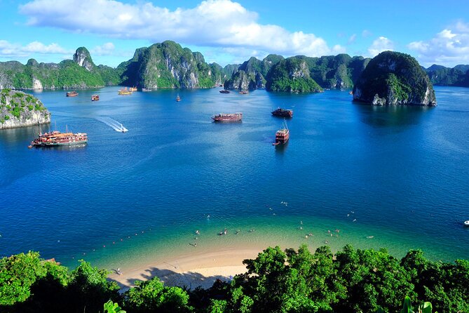 Orchid Cruises 2Days/1Night 5 Star All included - Life aboard the three Orchid boats