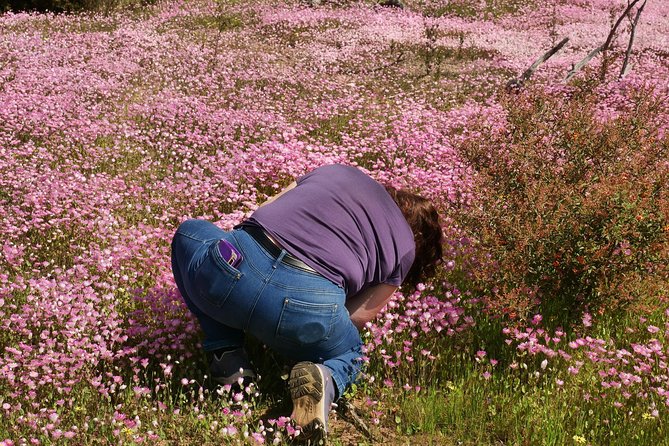 Orchids and Wildflowers Photographic Day tour from Perth - What a typical stop feels like