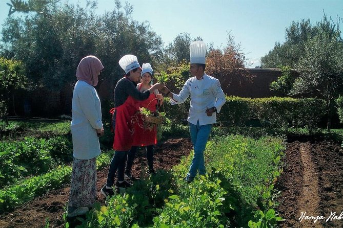 Organic Moroccan Cooking Class At Secret Berber Garden CT - Preparing bread, tagines, couscous, and salads