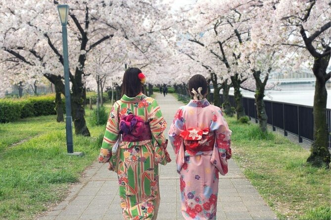 Osaka Private Cherry Blossom Tour with a Local – Picnic Included - What this Osaka hanami tour is really like