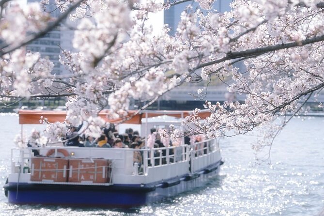 Osaka Private Cherry Blossom Tour with a Local – Picnic Included - Osaka Castle Park and the bridge reflections
