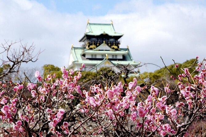 Osaka Private Cherry Blossom Tour with a Local – Picnic Included - The Osaka Mint Bureau’s one-week window