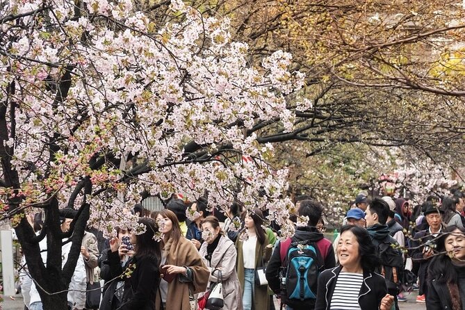 Osaka Private Cherry Blossom Tour with a Local – Picnic Included - Shitennoji’s smaller temple garden