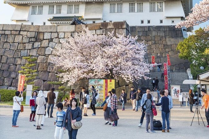 Osaka Private Cherry Blossom Tour with a Local – Picnic Included - Finishing beside the O River