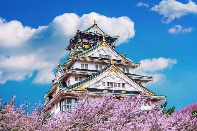 Osaka Private Cherry Blossom Tour with a Local – Picnic Included - Riverside rows with more than 5,000 trees