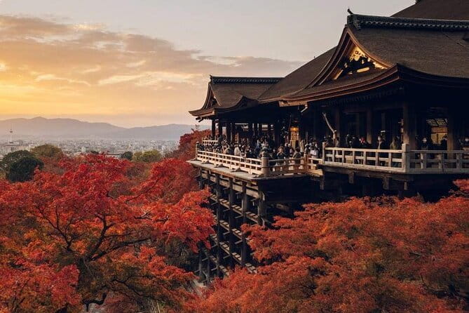 Osaka Spring Daytime (Cherry Blossom) Food Tour - Who Should Book This Experience?