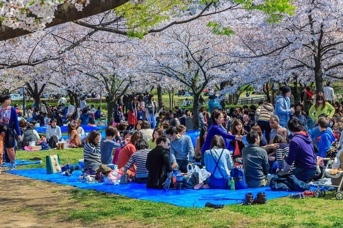 Osaka Spring Daytime (Cherry Blossom) Food Tour - Meeting at Matsuyamachi Station