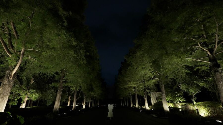 Osaka: teamLab Botanical Garden Entry Ticket - What makes this teamLab experience different