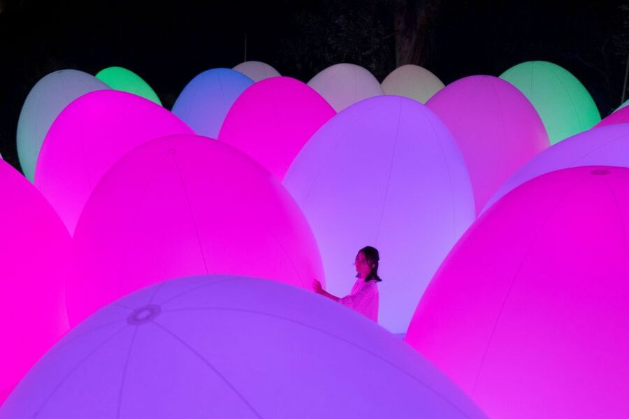 Osaka: teamLab Botanical Garden Entry Ticket - Walking through the installations