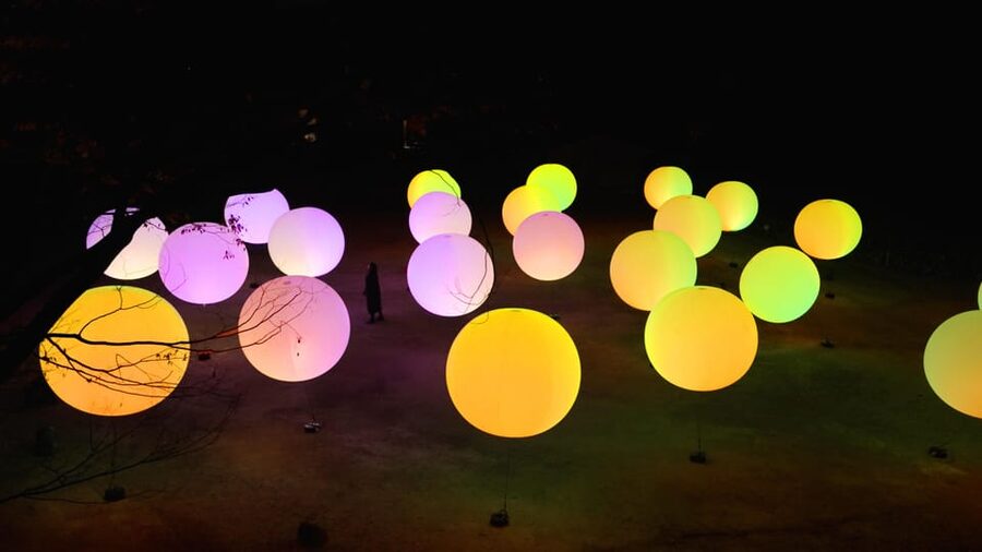 Osaka: teamLab Botanical Garden Entry Ticket - The best parts, and the limits